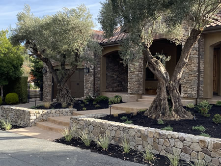 Retaining Wall Ideas That Double as Seating in Small Backyards