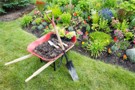 Types Of Landscape Construction Projects