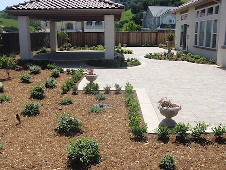 Landscape design and build